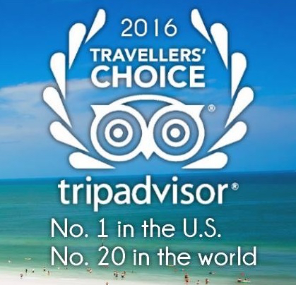 Traveler's Choice Award